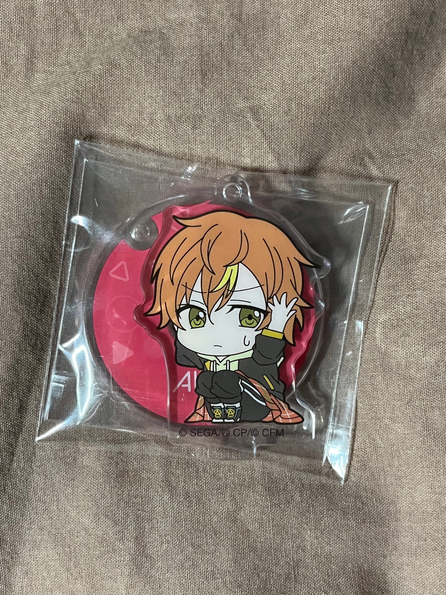 Project Sekai - Akito Shinonome “ViVimus Crouch” Acrylic Stand