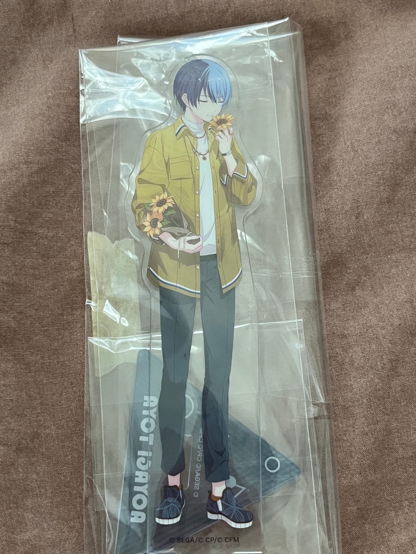 Project Sekai - Toya Aoyagi “The Vivid Old Tale” Acrylic Stand