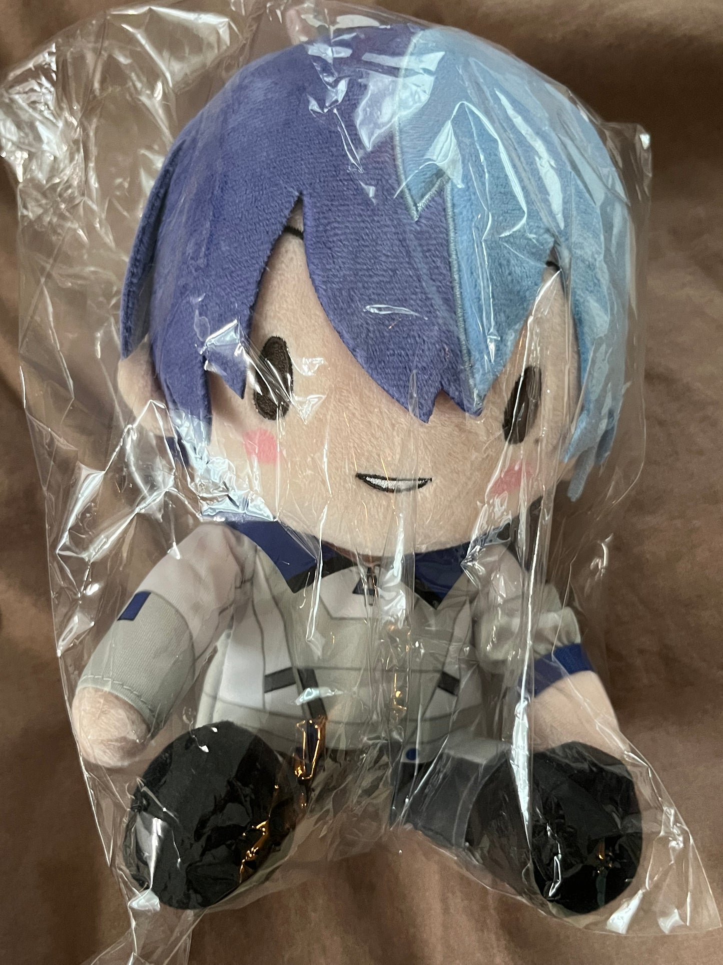 Project Sekai - Toya Aoyagi “Someday, with Our Lyrics Joined Back-to-Back” Medium Fuwa Plush