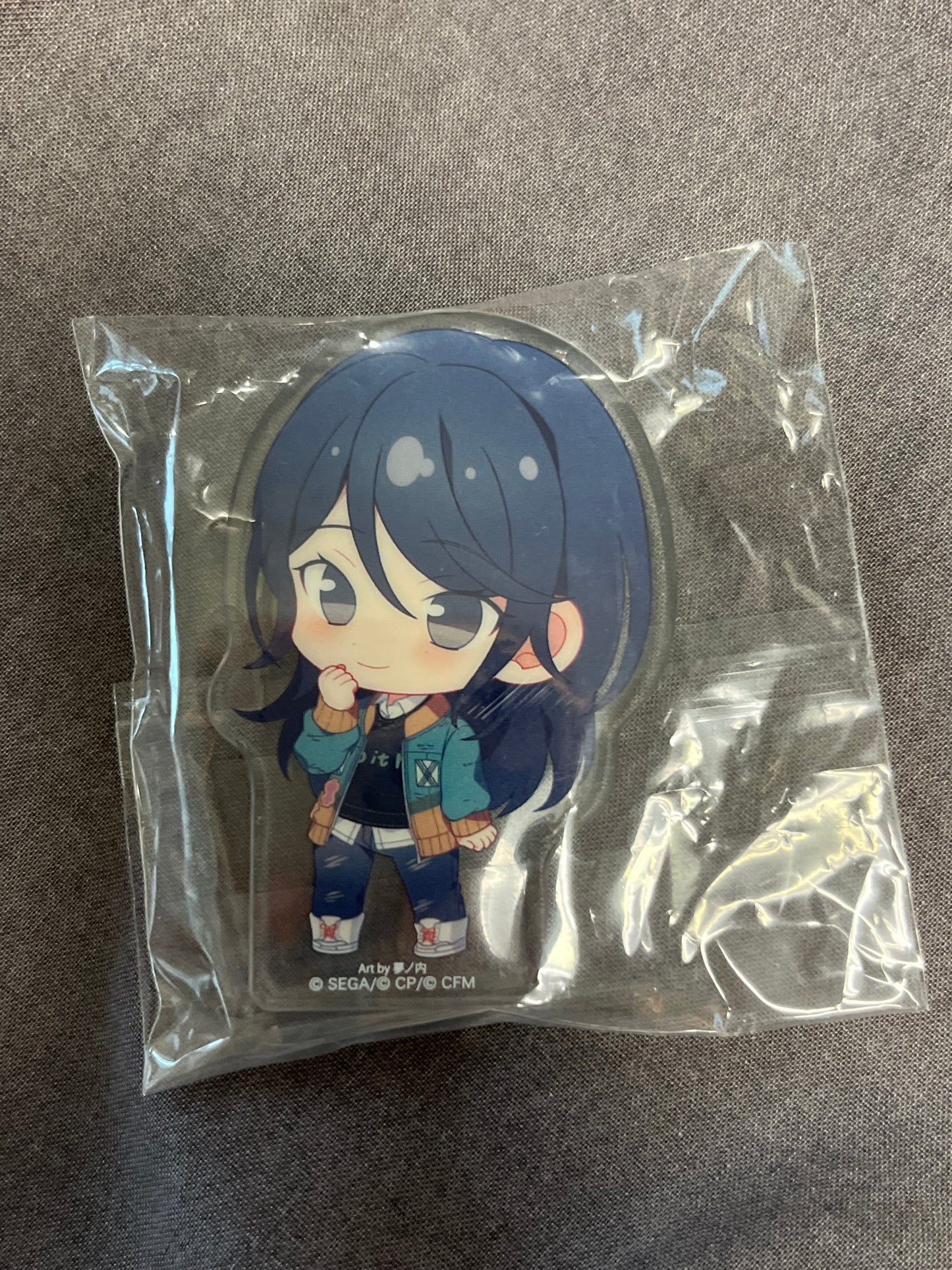 Project Sekai - Ichika Hoshino “Resonating With You” Acrylic Block
