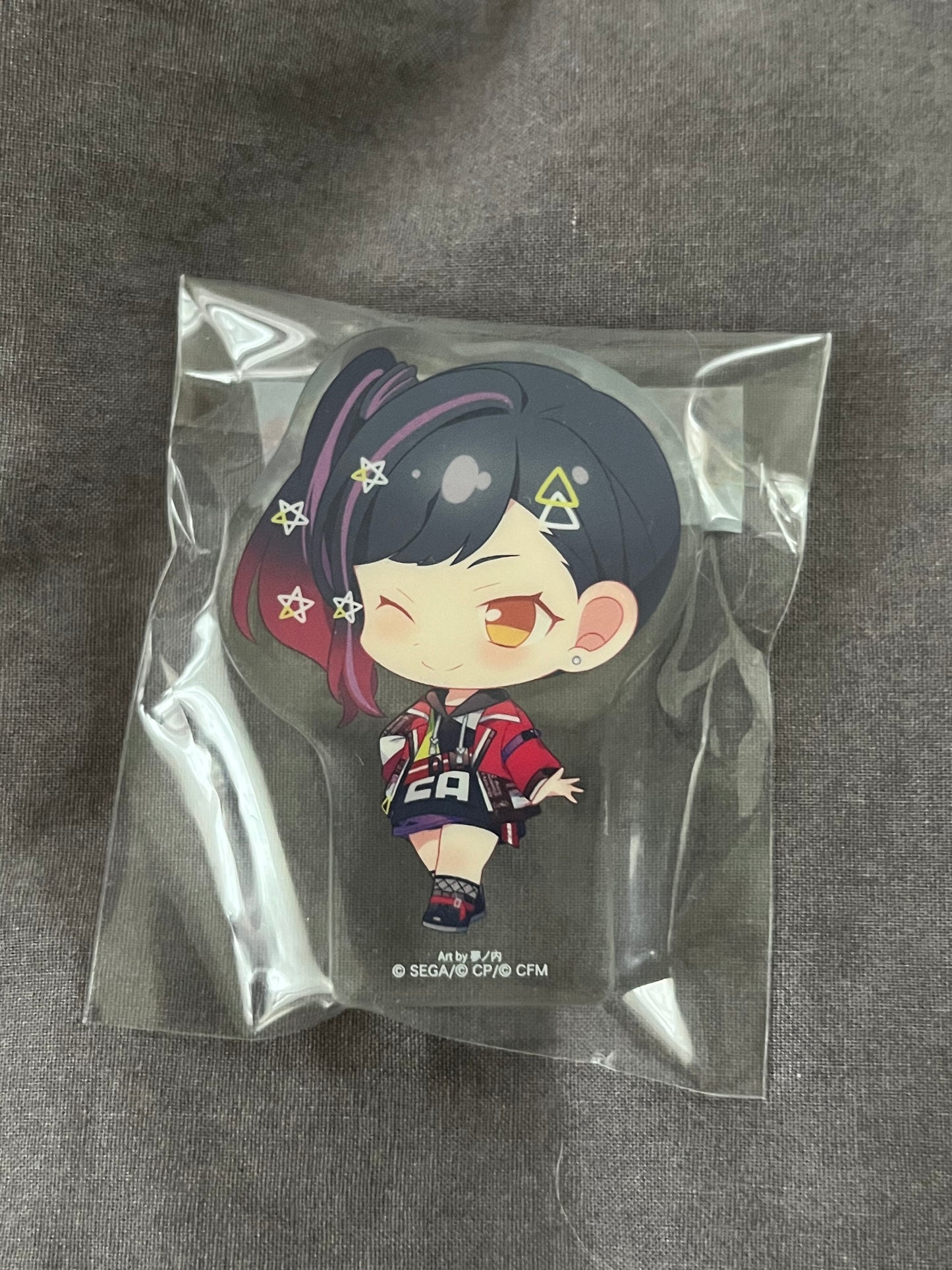 Project Sekai - An Shiraishi “STRAY BAD DOG” Acrylic Block