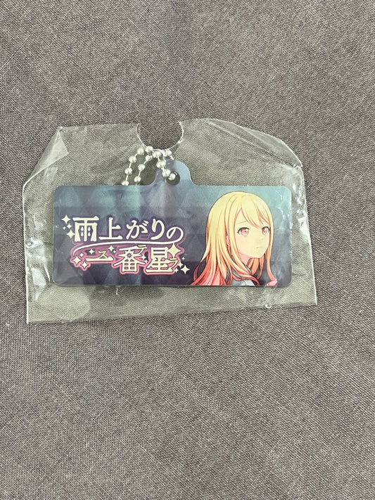 Project Sekai - Saki Tenma "Stella After the Rain" Metal Event Keychain [UNTRAINED]