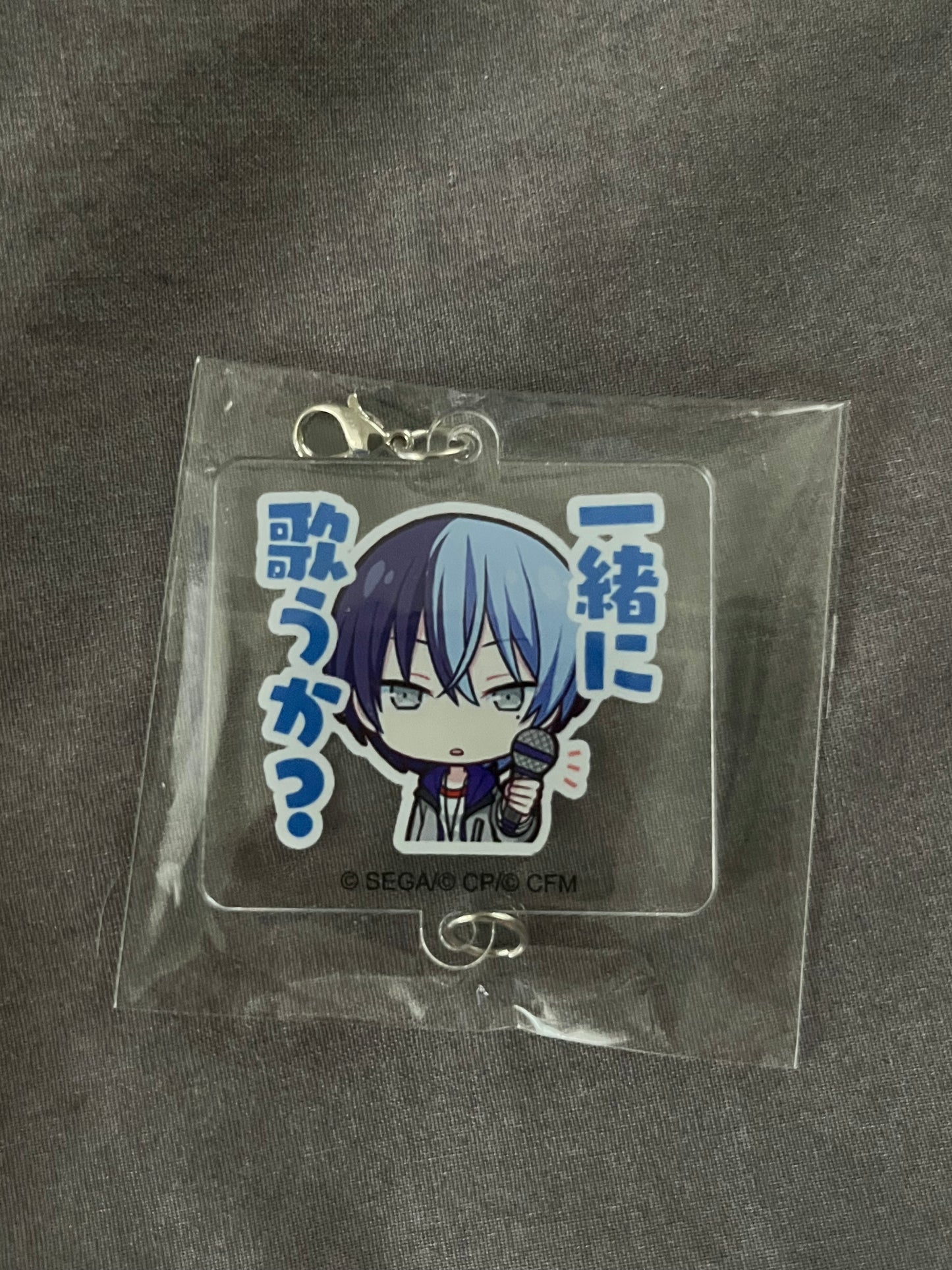 Project Sekai - Toya Aoyagi "Should we sing together?" Stamp Acrylic Keychain