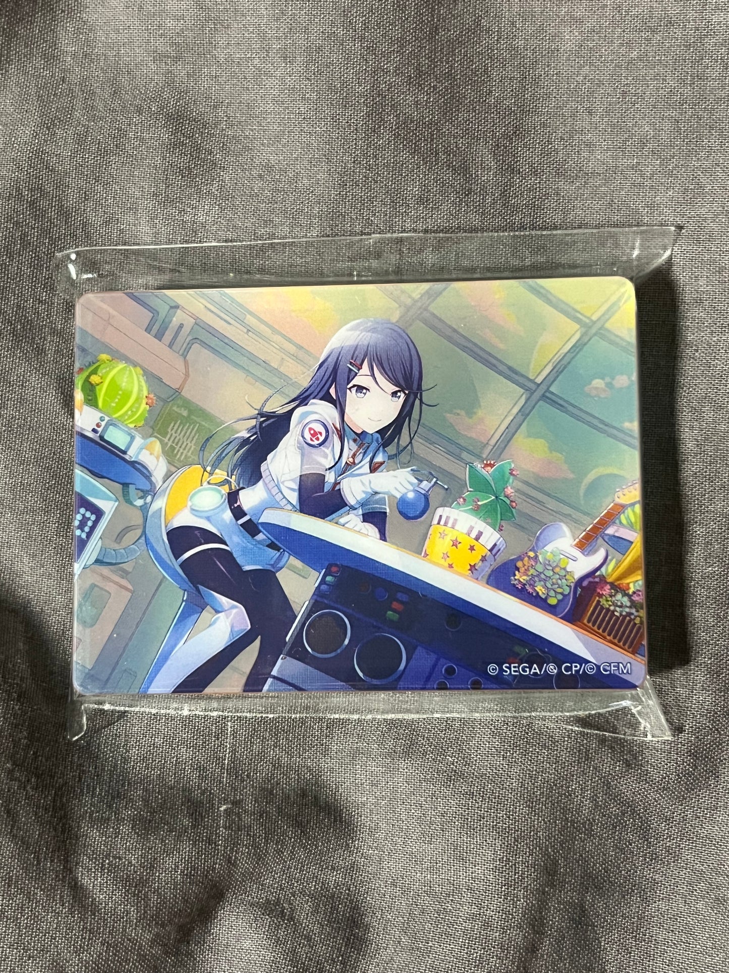 Project Sekai - Ichika Hoshino “Get over it.” Acrylic Block [TRAINED]