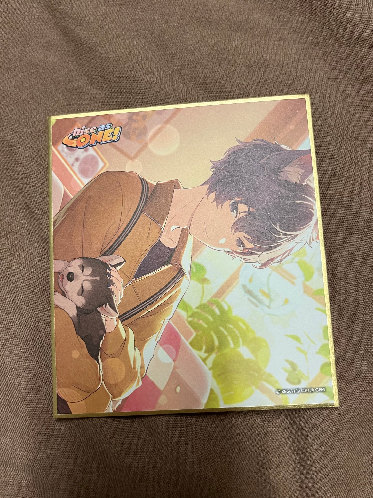 Project Sekai - KAITO "A Curious Rascal" Shikishi Board [TRAINED]