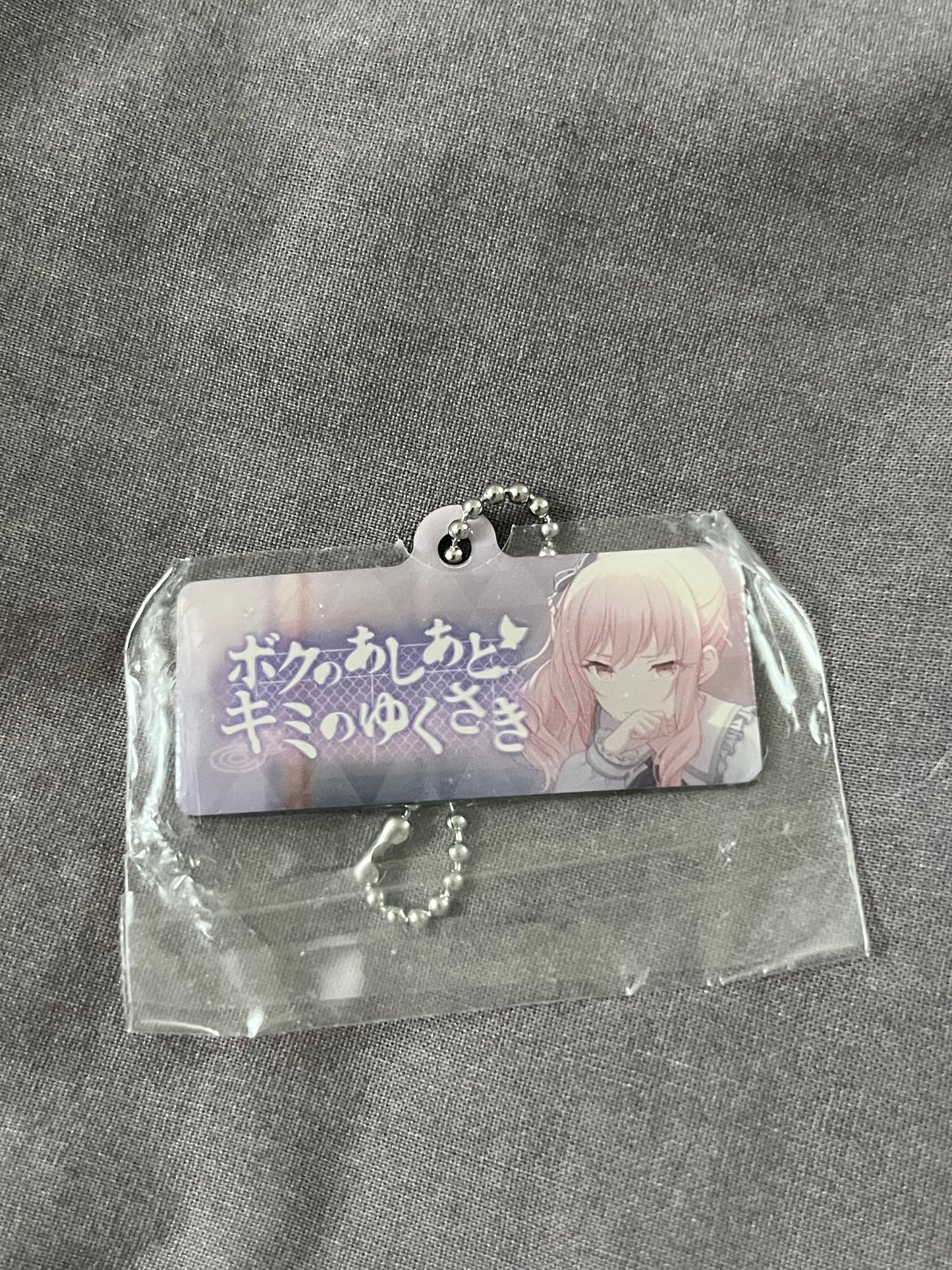 Project Sekai - Mizuki Akiyama "What lies behind. What lies ahead." Metal Keychain [UNTRAINED]