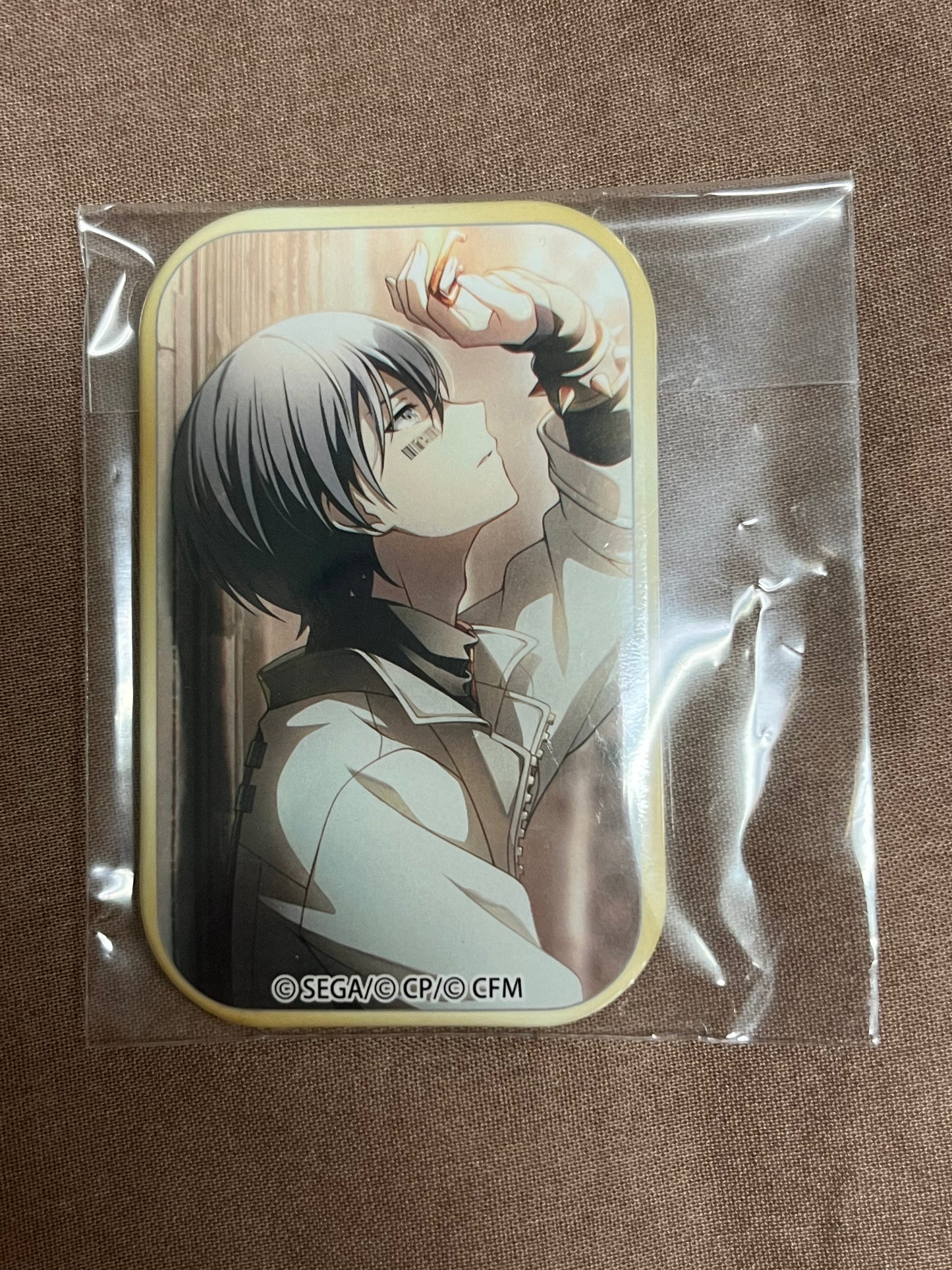 Project Sekai - Toya Aoyagi “Perfect Librarian” Square Badge [TRAINED]