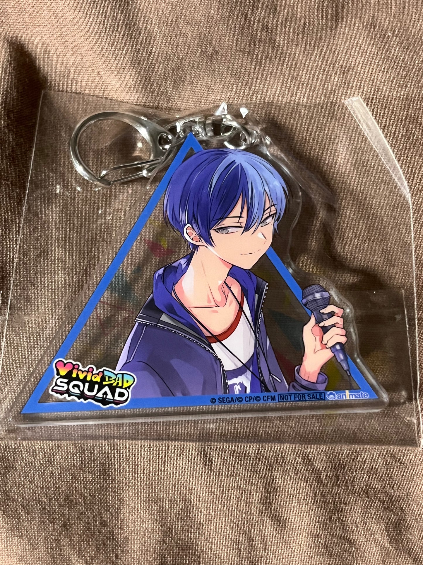 Project Sekai - Toya Aoyagi "Vivid BAD SQUAD SEKAI ALBUM Vol 01" Triangle Keychain
